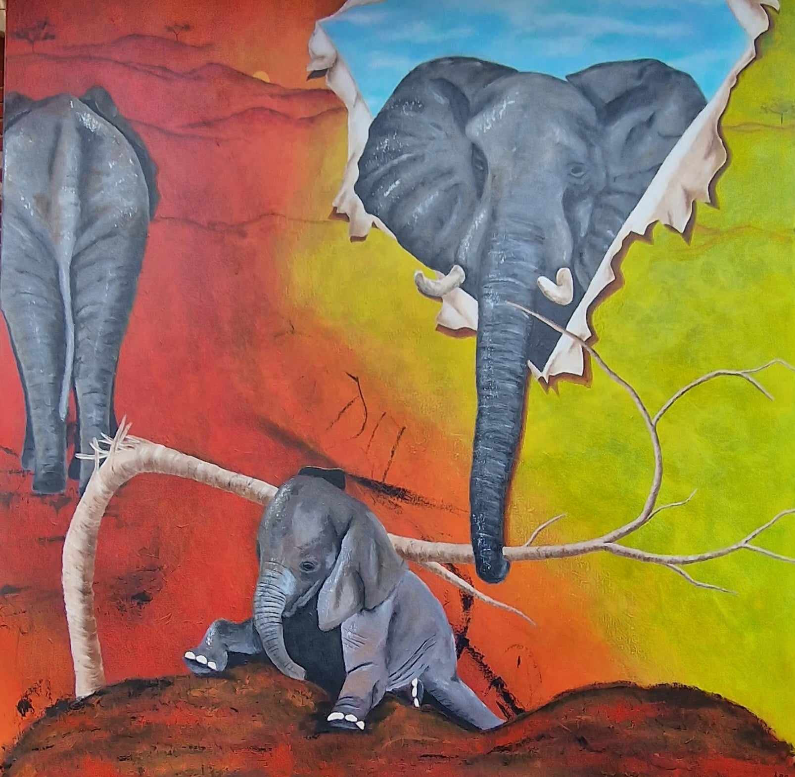Read more about the article Elephant from above